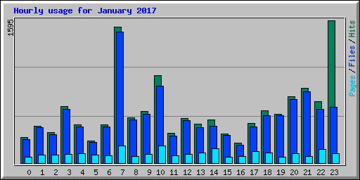 Hourly usage for January 2017